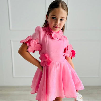 Zimmy Pink Dress