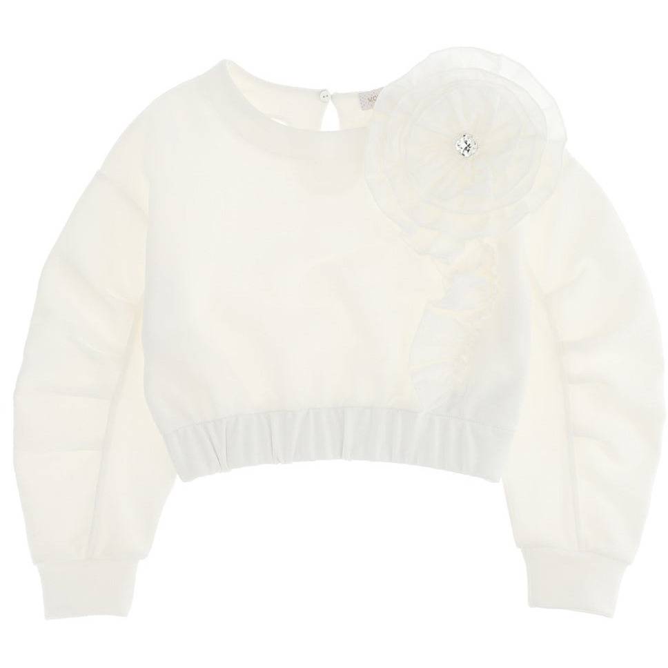 Ruffle Sleeves Cropped Sweater