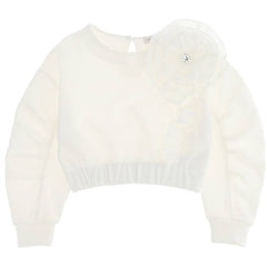 Ruffle Sleeves Cropped Sweater